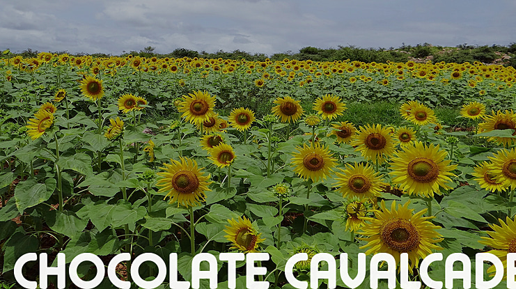 Chocolate Cavalcade Font