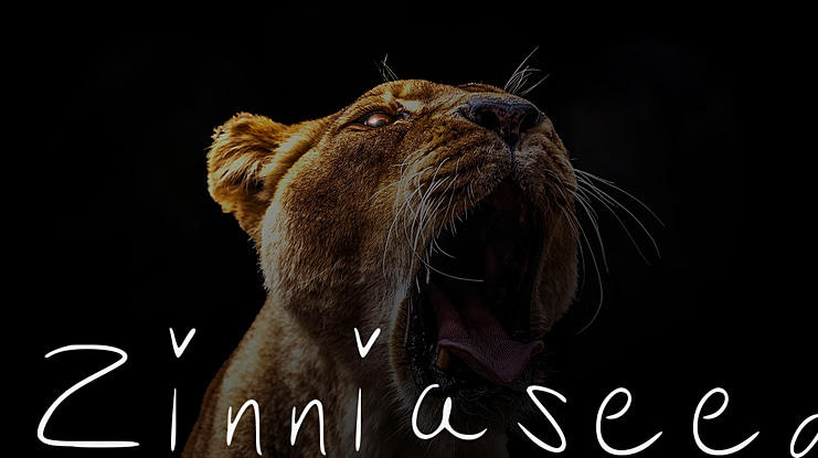 Zinniaseed Font