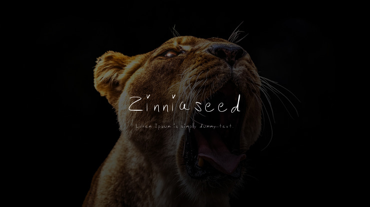 Zinniaseed Font