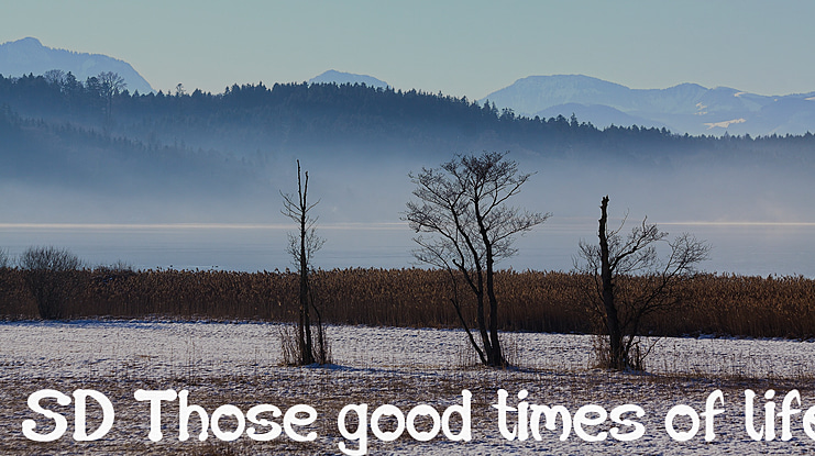 SD Those good times of life Font