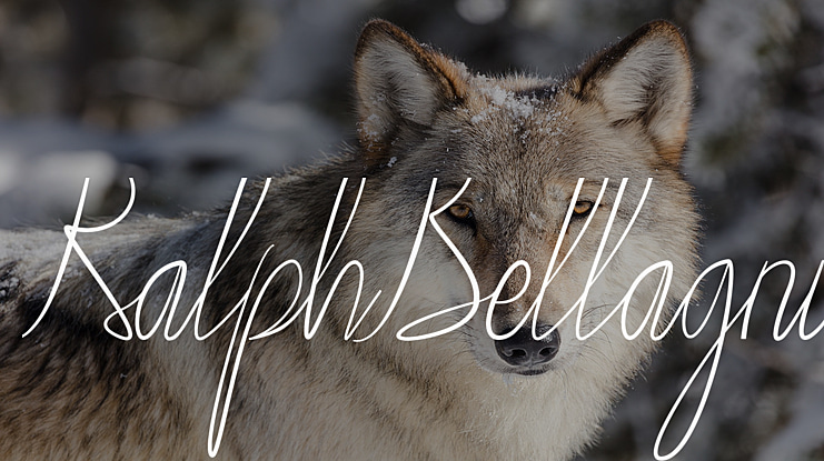 RalphBellagni Font