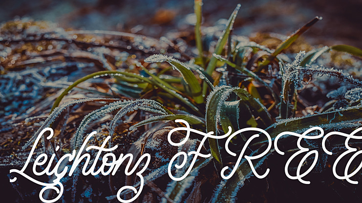 Leightonz FREE Font