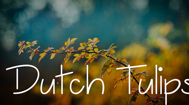Dutch Tulips Font