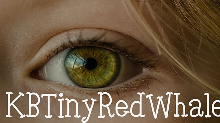 KBTinyRedWhale Font