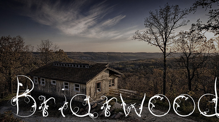 Briarwood Font