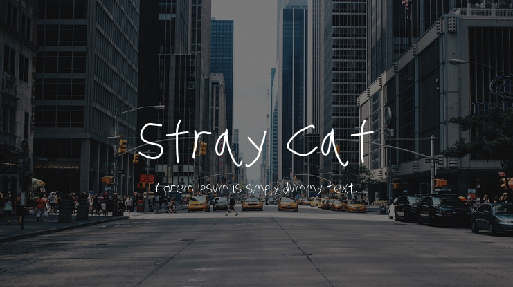 Stray Cat Font Family