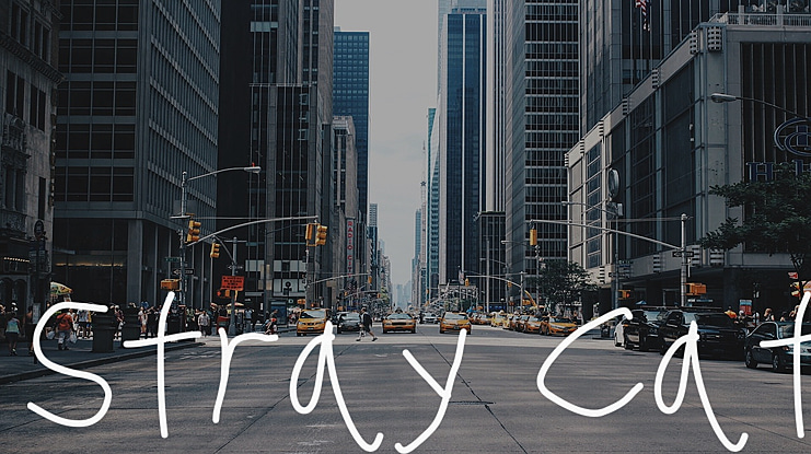 Stray Cat Font Family