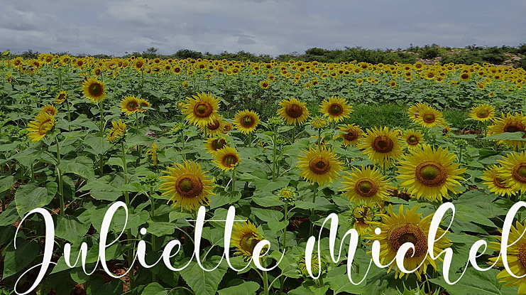 Juliette Michel Font