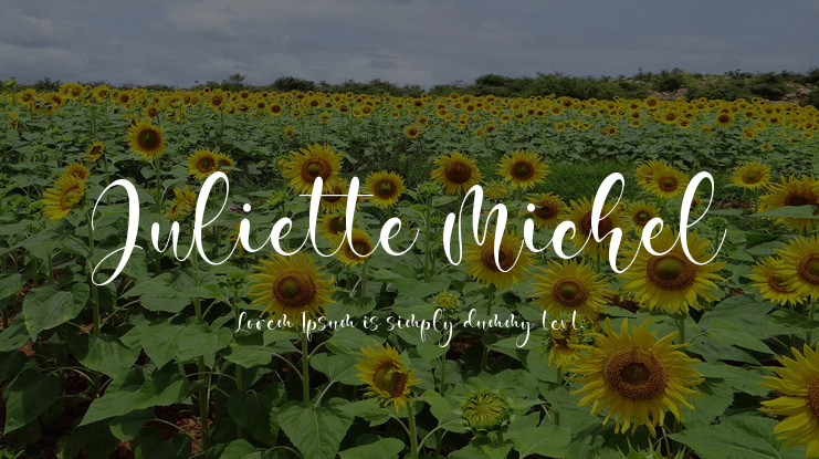 Juliette Michel Font