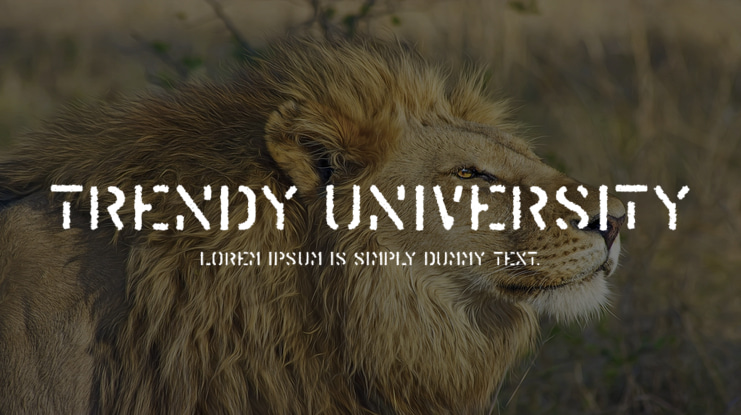 Trendy University Font