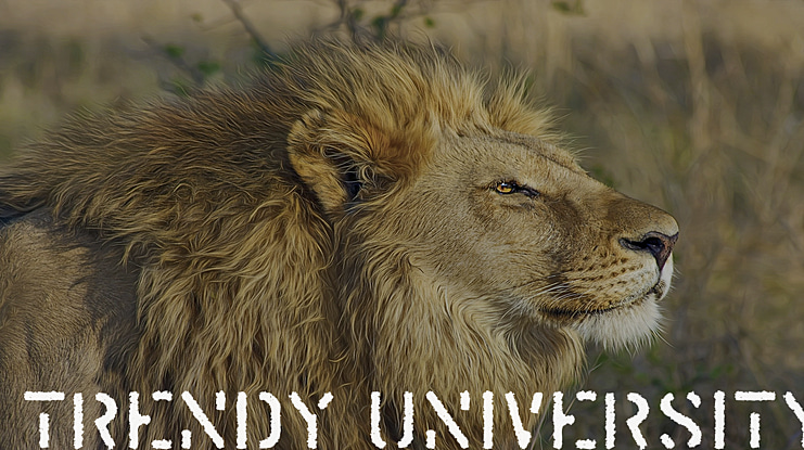 Trendy University Font