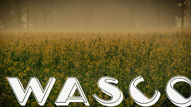 Wasco Font Family