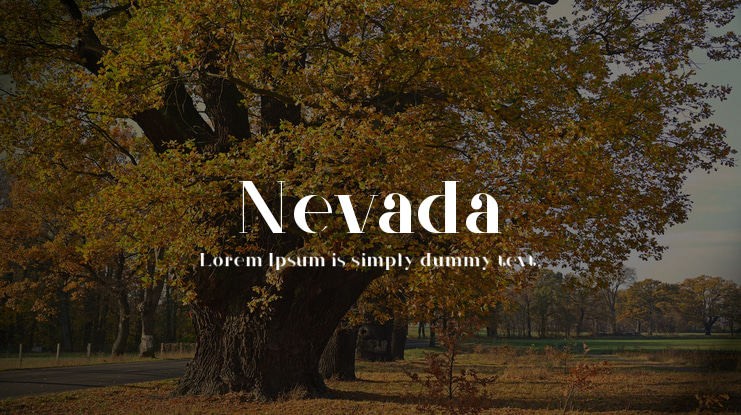 Nevada Font