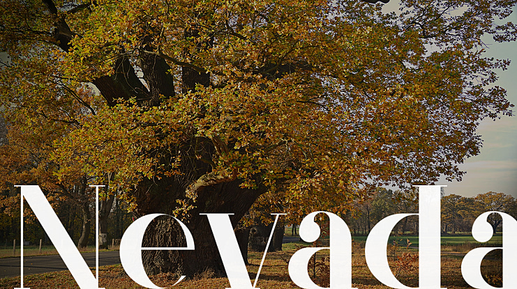 Nevada Font