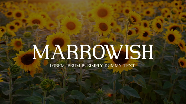 Marrowish Font