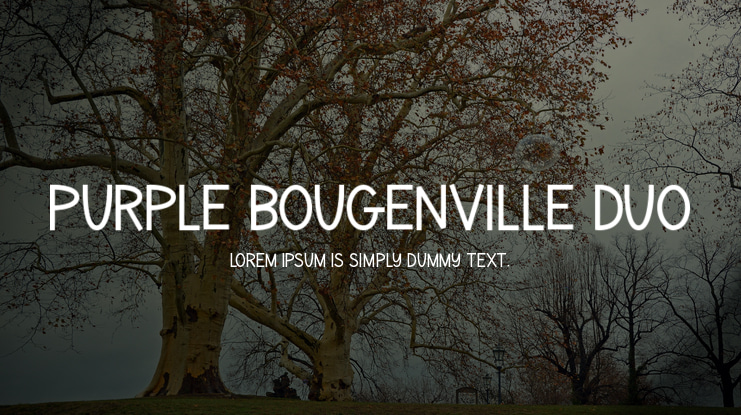 Purple Bougenville Duo Font Family