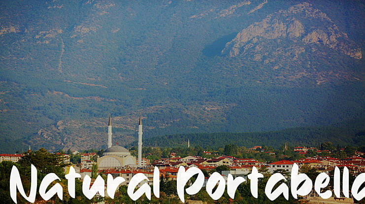 Natural Portabella Font