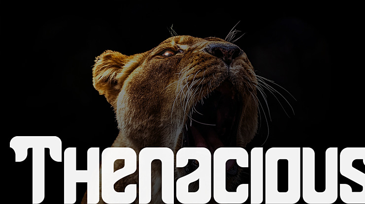 Thenacious Font Family
