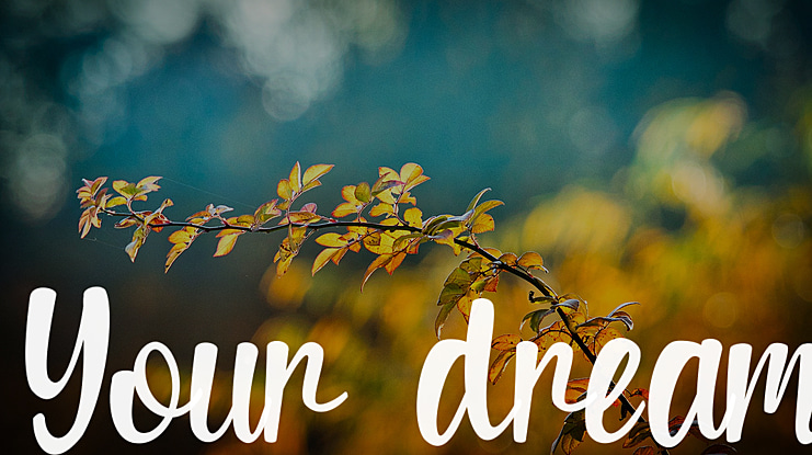 Your dream Font Family