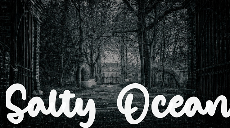 Salty Ocean Font
