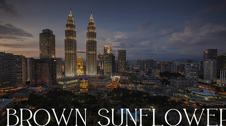 BROWN SUNFLOWER Font