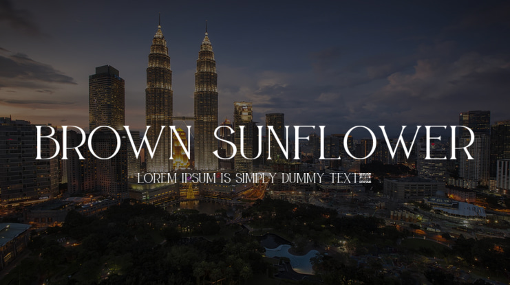 BROWN SUNFLOWER Font