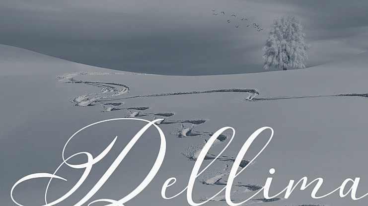 Dellima Font