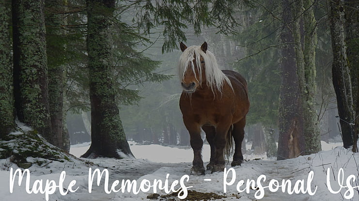 Maple Memories - Personal Use Font