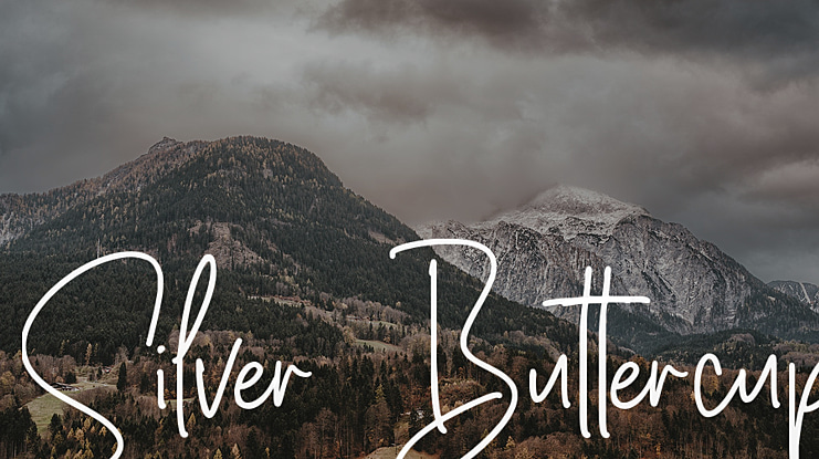 Silver Buttercup Font