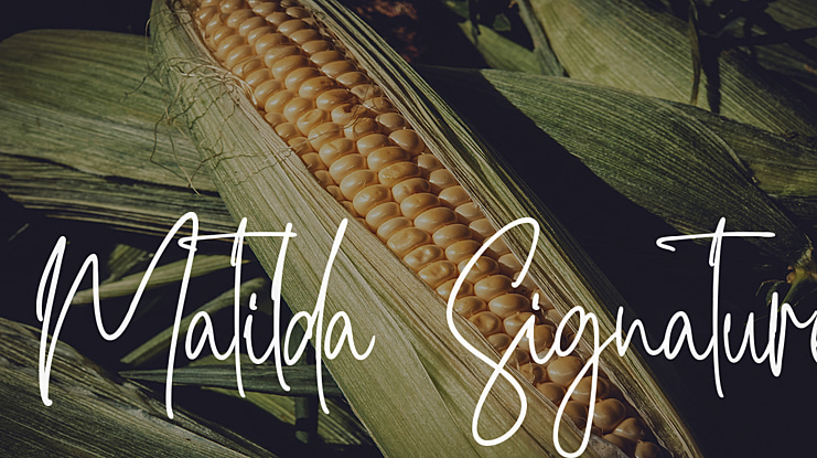 Matilda Signature Font