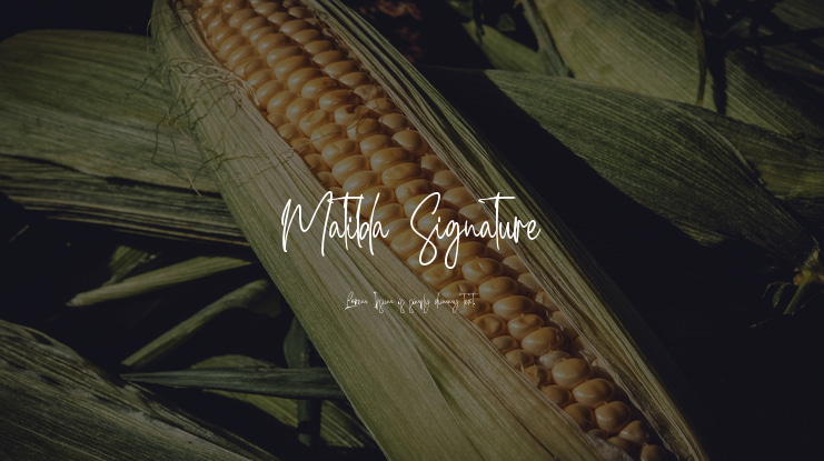 Matilda Signature Font