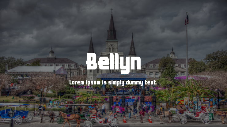 Bellyn Font Family