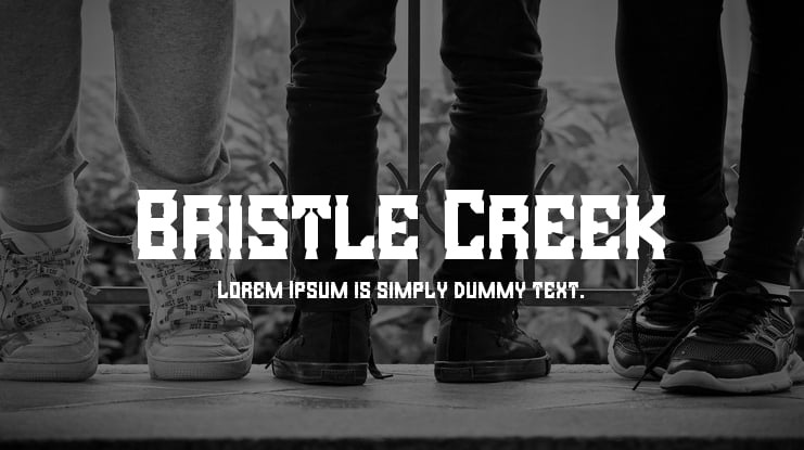 Bristle Creek Font Family