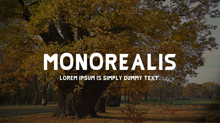 Monorealis Font