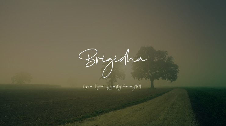 Brigidha Font