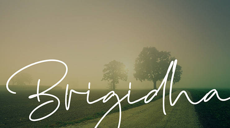 Brigidha Font