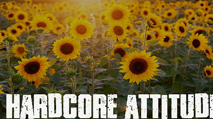 HARDCORE ATTITUDE Font