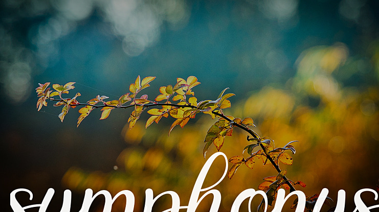 symphonys Font