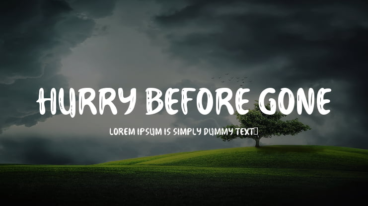 Hurry Before Gone Font