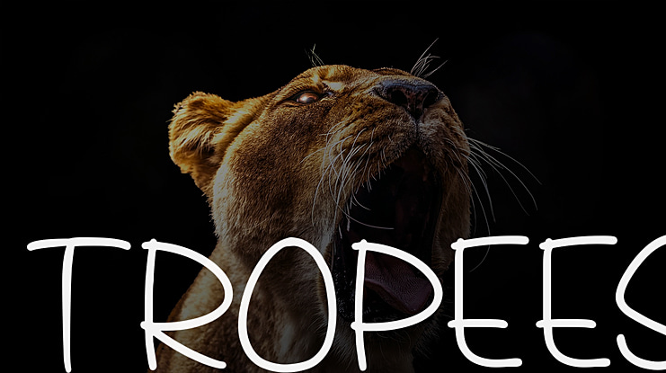 Tropees Font