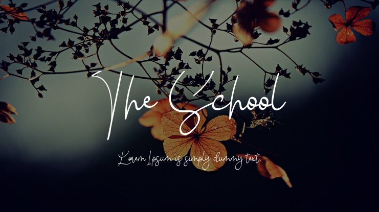 The School Font