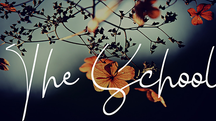 The School Font