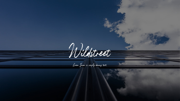 Wildstreet Font