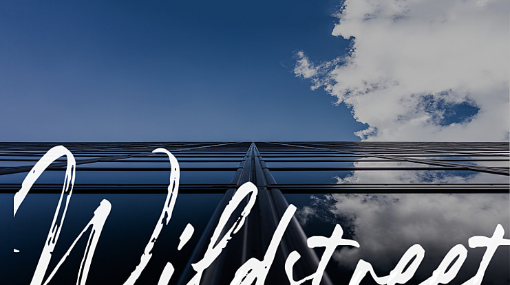 Wildstreet Font