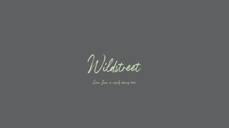 Wildstreet Font