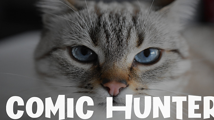 Comic Hunter Font
