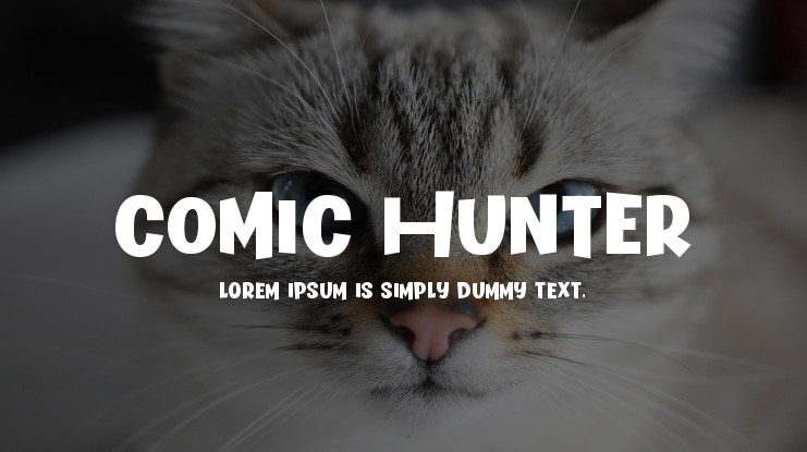 Comic Hunter Font