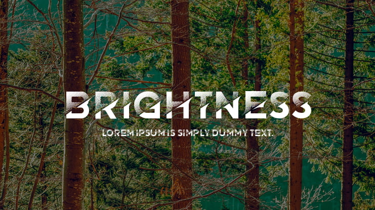 Brightness Font Family