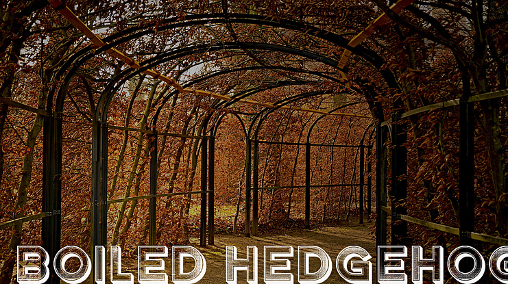 Boiled Hedgehog Font