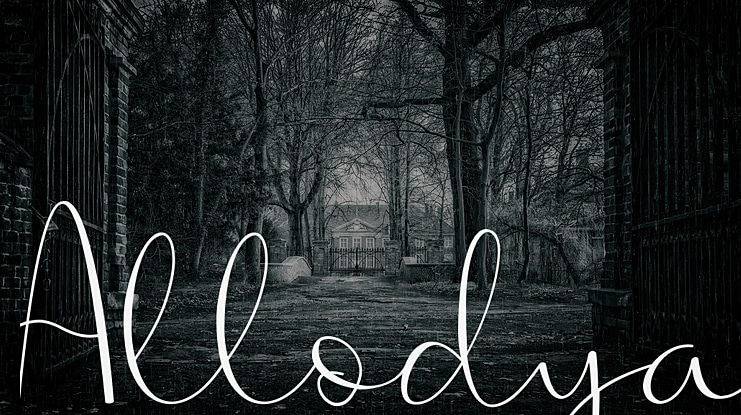 Allodya Font